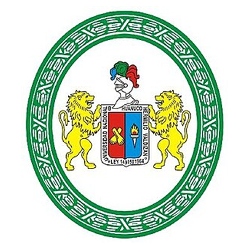 universidad-nacional-hermilio-valdizán